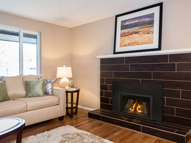 Jordan 30S Gas Fireplace Insert Gas Fireplaces