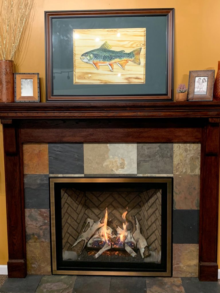 KOZY HEAT FIREPLACES - Project Photos & Reviews - Lakefield, MN US