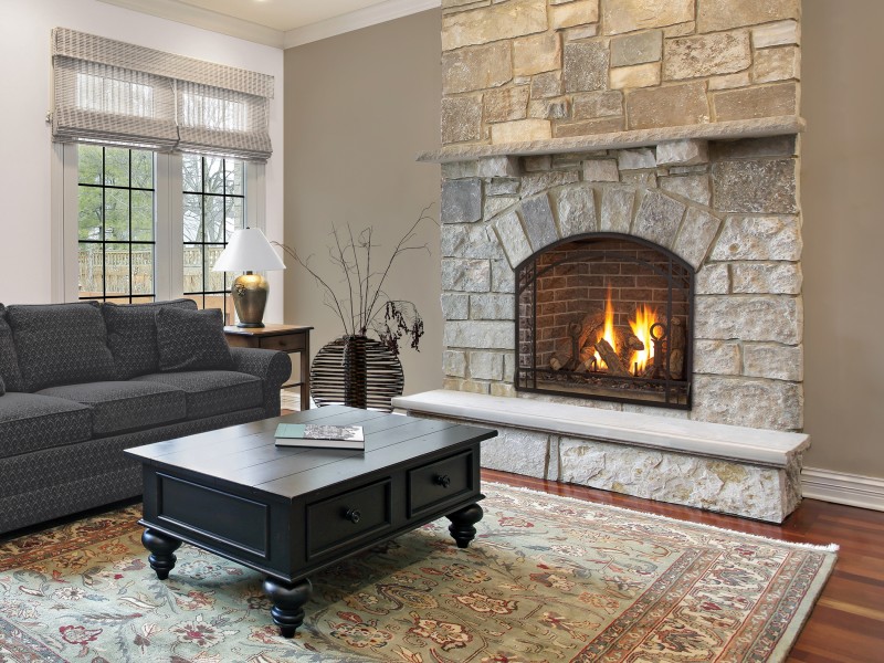 Alpha 36s Direct Vent Gas Fireplace, Curved Gas Fireplace Insert